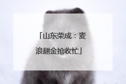 山东荣成：麦浪翻金抢收忙